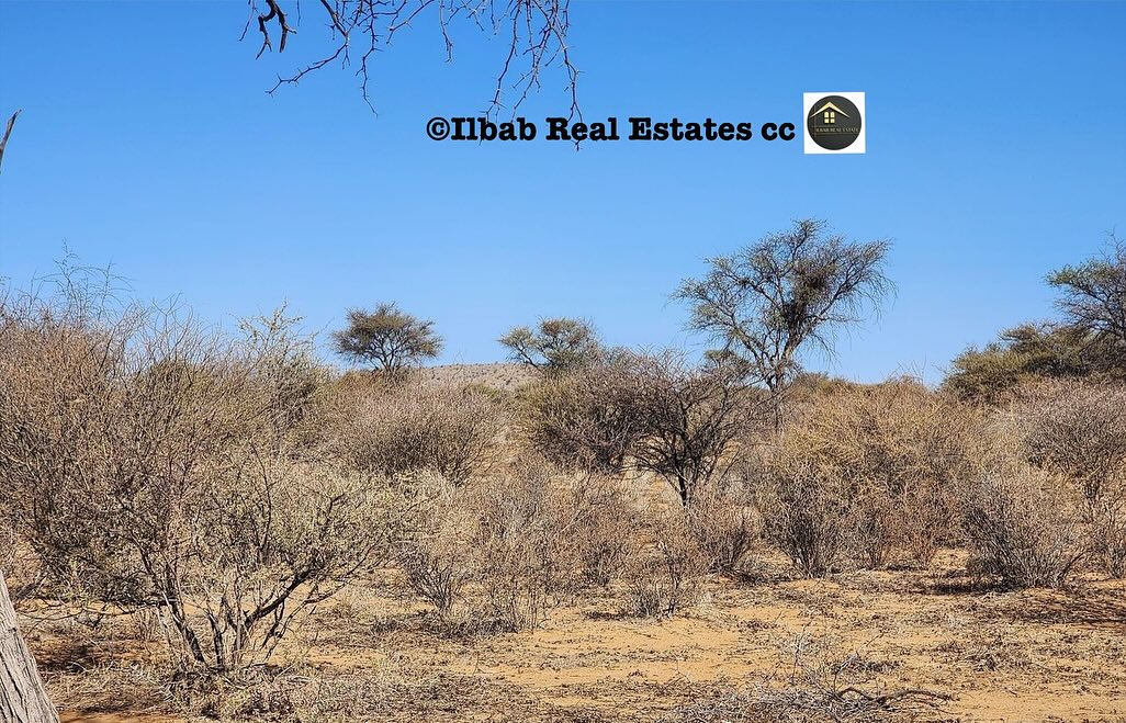 350-HECTARE3