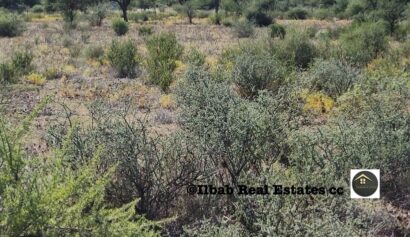 350-HECTARE6