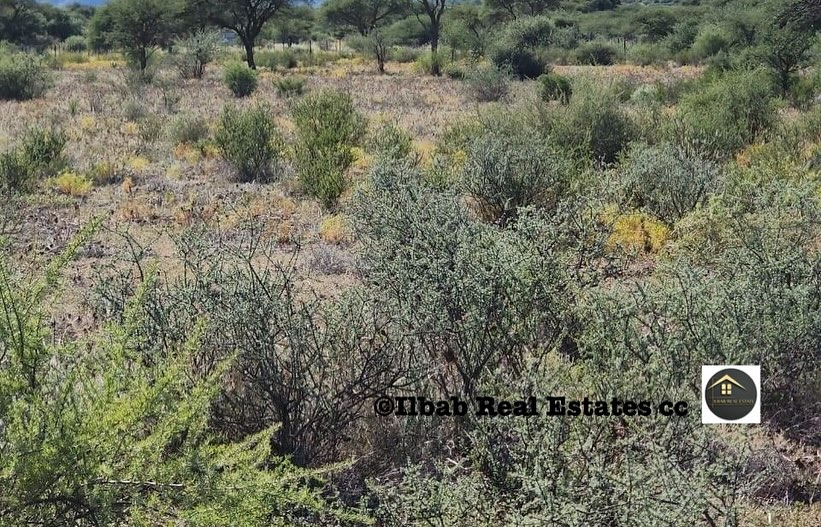350-HECTARE6